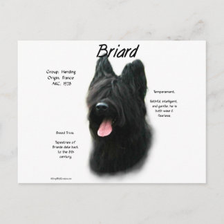 Briard (black) History Design Postcard