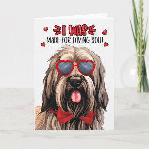 Briard Dog Made for Loving You Valentine Holiday Card
