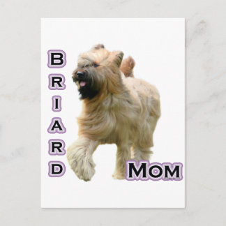 Briard Mom 4 Postcard