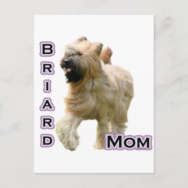 Briard Mom 4 Postcard (Front)