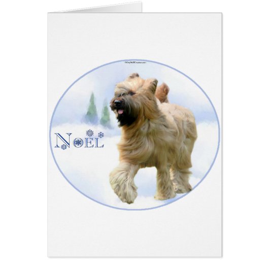 Briard Noel Cards (Front)