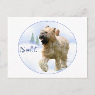 Briard Noel Holiday Postcard