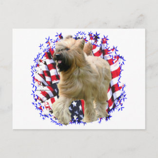 Briard Patriot Postcard