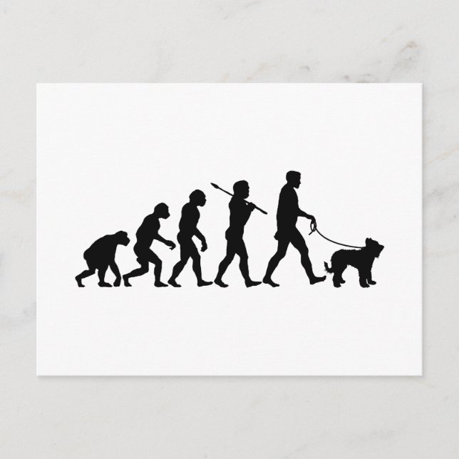 Briard Postcard (Front)