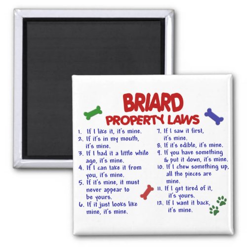 BRIARD Property Laws 2 Magnet