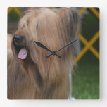 Briard Square Wall Clock