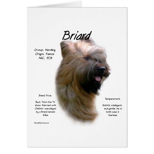 Briard (tawny) History Design (Front)