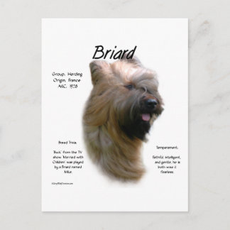 Briard (tawny) History Design Postcard