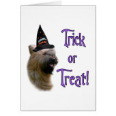 Briard Trick (Front)