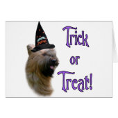 Briard Trick (Front Horizontal)