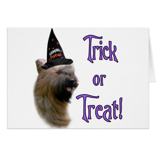 Briard Trick (Front Horizontal)