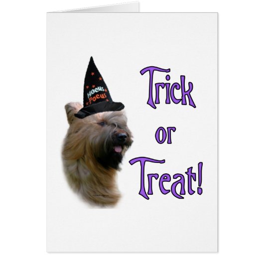 Briard Trick Cards (Front)