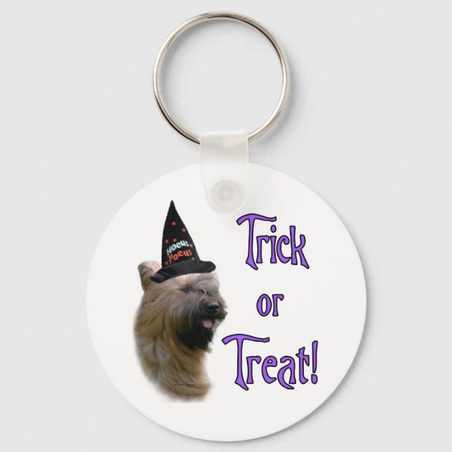 Briard Trick Keychain (Front)