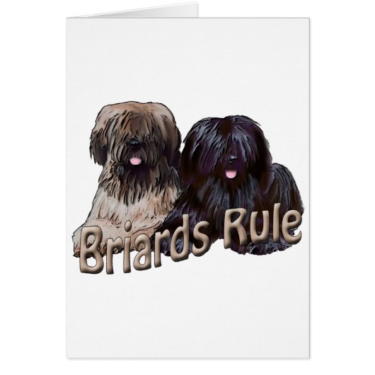 briards rule cards (Front)