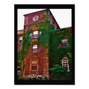 Brick Building Photo Print
