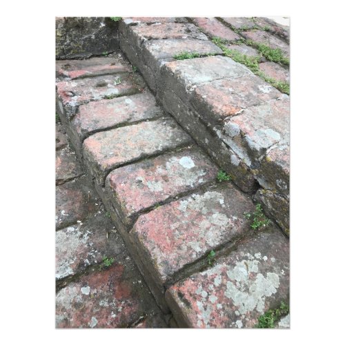 Brick Stairs in Tuscan Garden Photo Print