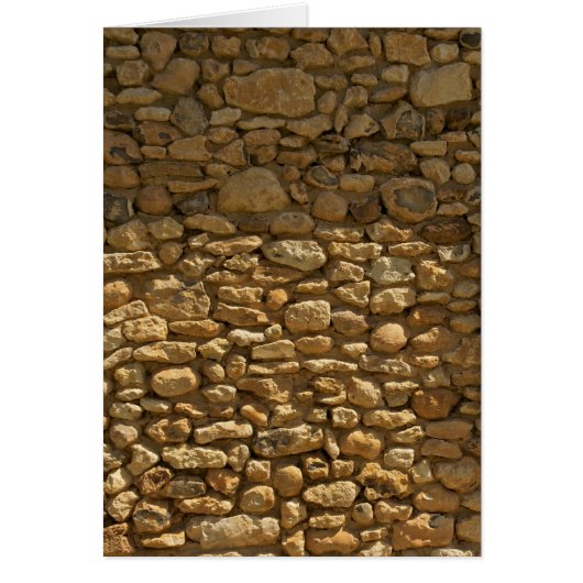 Brick Wall Background (Front)