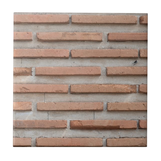 Brick wall ceramic tile (Front)