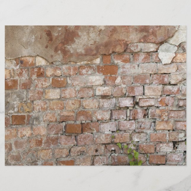 Brick wall flyer (Front)