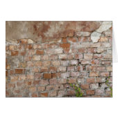 Bricks old wall (Front Horizontal)