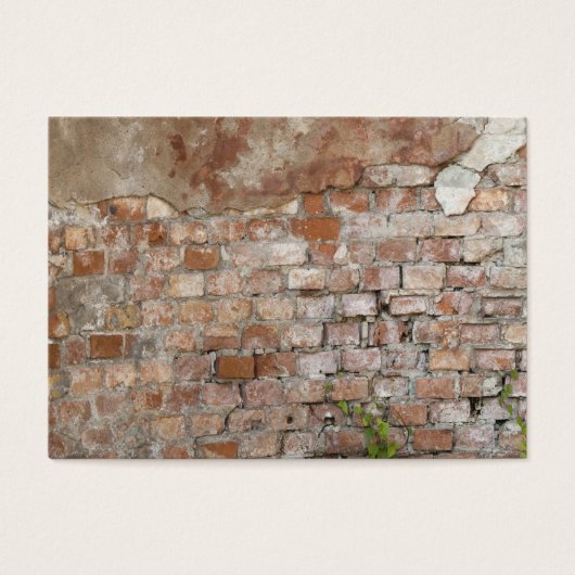 Bricks old wall (Front)