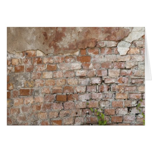 Bricks old wall cards (Front Horizontal)