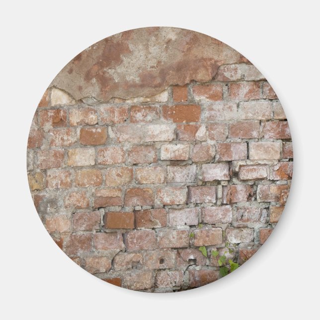 Bricks old wall magnet (Front)