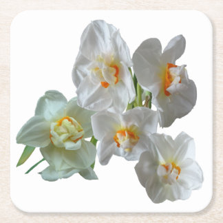 Bridal Crown Daffodils Close Up Paper Coaster