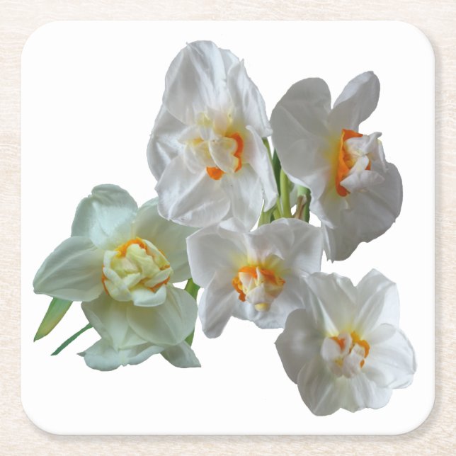 Bridal Crown Daffodils Close Up Paper Coaster (Front)