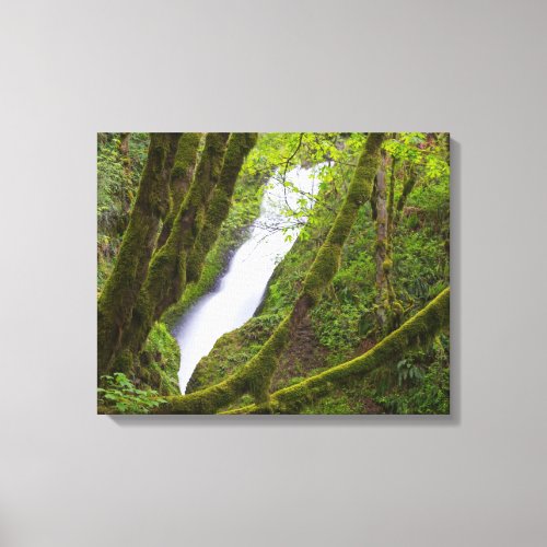 Bridal Veil Falls Canvas Print