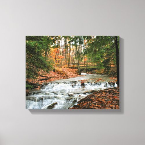 Bridal Veil Falls in the Cleveland Metro Parks Canvas Print