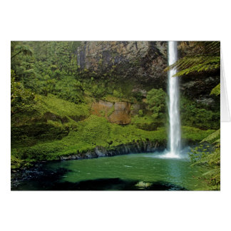 Bridal Veil Falls, NZ Cards