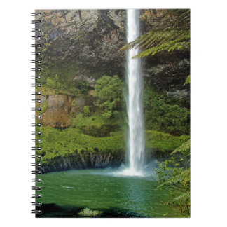 Bridal Veil Falls, NZ Notebook