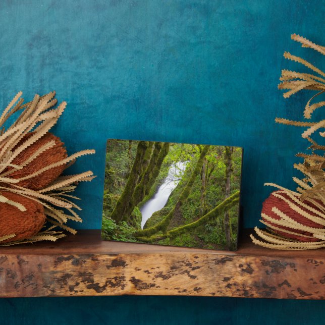 Bridal Veil Falls Plaque (Side)