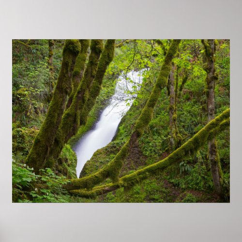 Bridal Veil Falls Poster