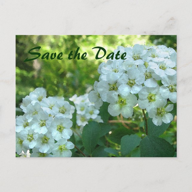 Bridal Wreath Save the Date Announcement Postcard (Front)