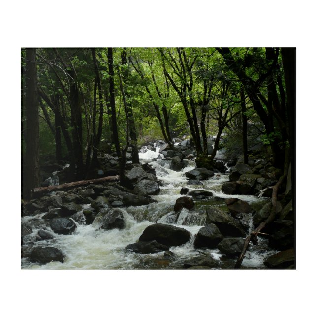 Bridalveil Creek in Yosemite National Park Acrylic Print (Front)