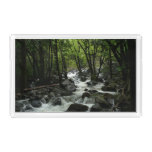 Bridalveil Creek in Yosemite National Park Acrylic Tray