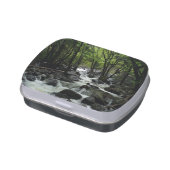 Bridalveil Creek in Yosemite National Park Candy Tin (Side)