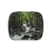 Bridalveil Creek in Yosemite National Park Candy Tin (Top)