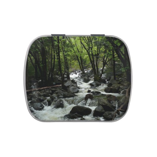 Bridalveil Creek in Yosemite National Park Candy Tin (Top)