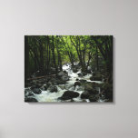 Bridalveil Creek in Yosemite National Park Canvas Print