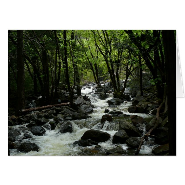 Bridalveil Creek in Yosemite National Park Card (Front Horizontal)