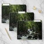 Bridalveil Creek in Yosemite National Park File Folder