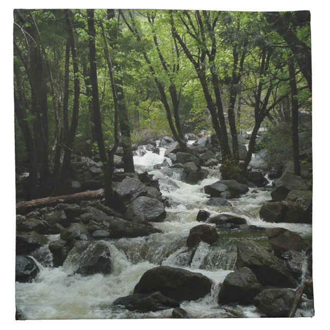 Bridalveil Creek in Yosemite National Park Napkin (Front)