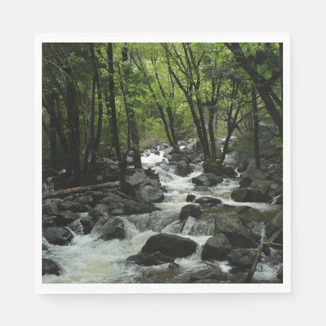 Bridalveil Creek in Yosemite National Park Paper Napkins (Front)
