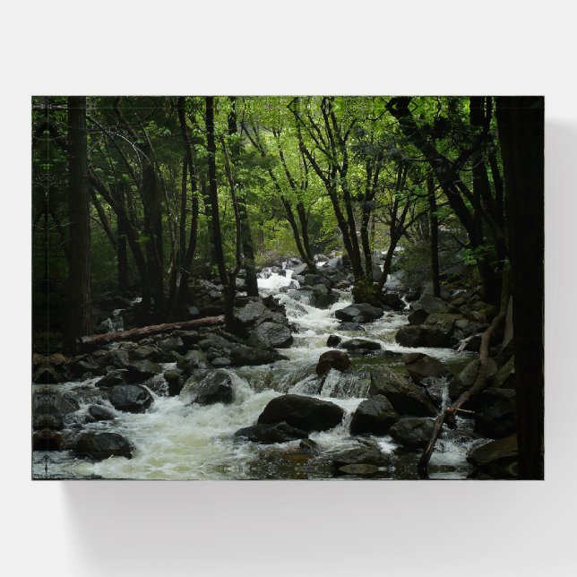 Bridalveil Creek in Yosemite National Park Paperweight (Front)