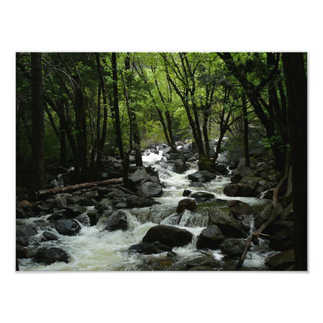 Bridalveil Creek in Yosemite National Park Photo Print (Front)