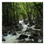 Bridalveil Creek in Yosemite National Park Photo Print