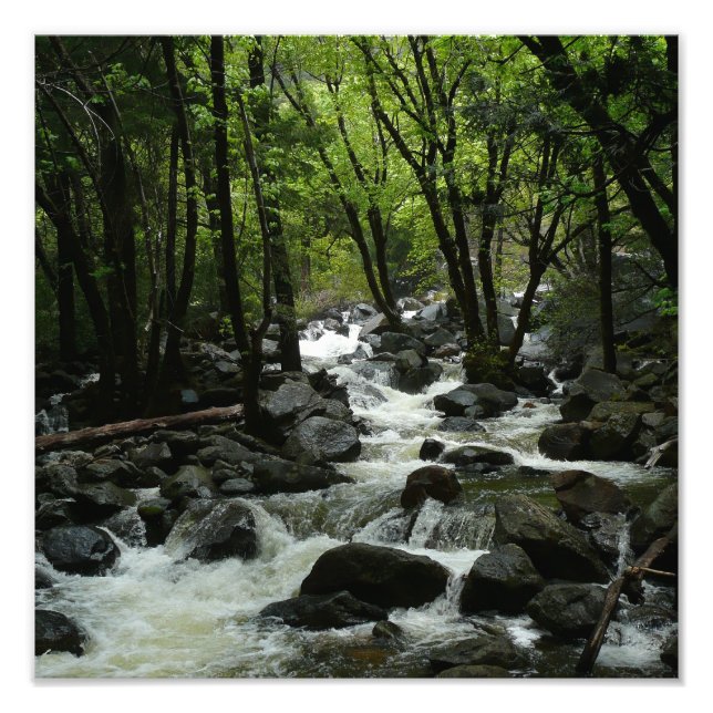 Bridalveil Creek in Yosemite National Park Photo Print (Front)